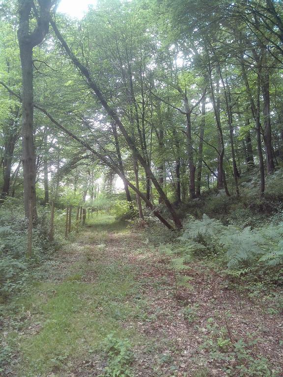 Les Gites De Castera Aire-sur-lʼAdour Zewnętrze zdjęcie