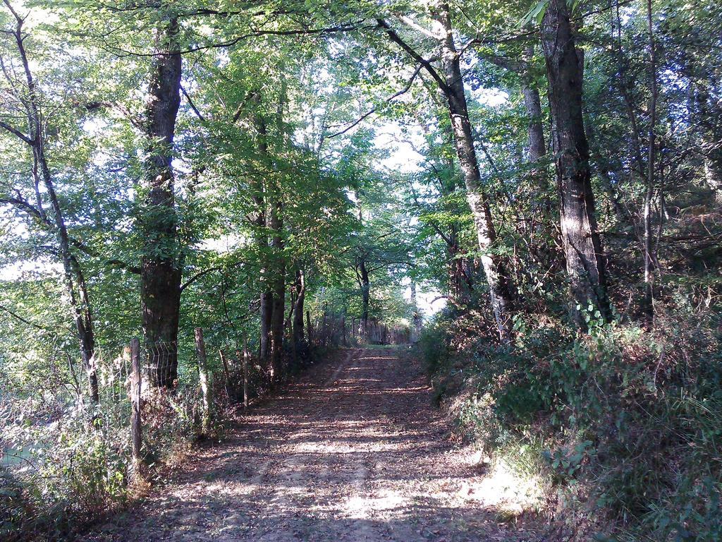 Les Gites De Castera Aire-sur-lʼAdour Zewnętrze zdjęcie
